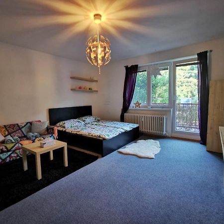 Cely Apartman Podlesi 54M2 S Dvema Balkony A S Novou Manzelskou Posteli, Zatim Neni Na Fotkach Apartment เบอร์โน ภายนอก รูปภาพ