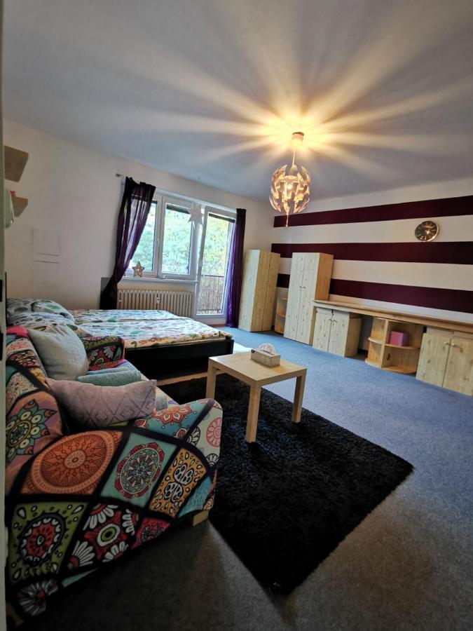 Cely Apartman Podlesi 54M2 S Dvema Balkony A S Novou Manzelskou Posteli, Zatim Neni Na Fotkach Apartment เบอร์โน ภายนอก รูปภาพ