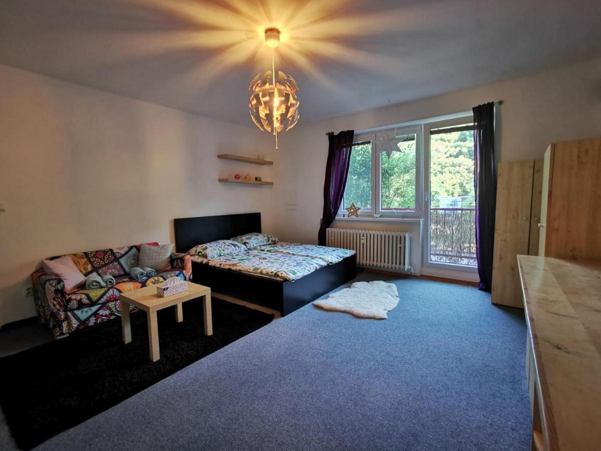 Cely Apartman Podlesi 54M2 S Dvema Balkony A S Novou Manzelskou Posteli, Zatim Neni Na Fotkach Apartment เบอร์โน ภายนอก รูปภาพ